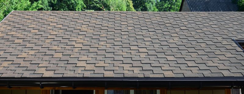 Specialized Roofing Companies